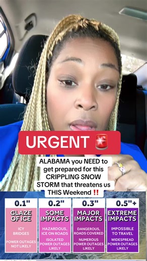 #Alabama you need to get prepared for this crippling snow storm that threatens us this week #snow #fyp
