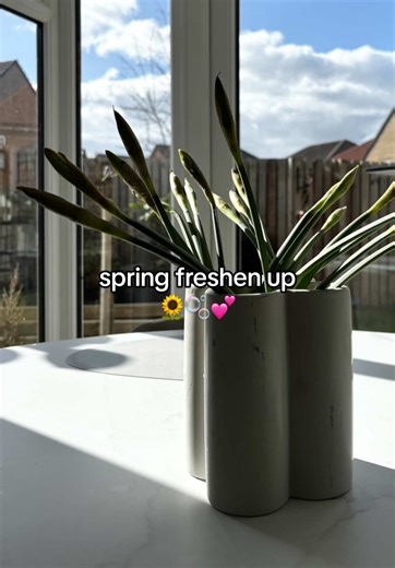 Spring Freshen Up: Cleaning Hacks for Your Home ✨