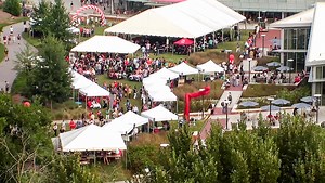 Highlights From 2018