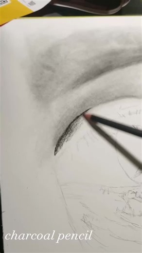 This is me beginning to draw a detailed eye. Materials was mostly charcoal, pastel and graphite depending on what created the right impressions I needed. Sometimes mixing and matching materials works best and produces a more superior look 👌#PortraitArtist #SelfTaughtArtist #CharcoalDrawing | Feli the Artist