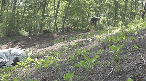 Planting Plants That Grow - Vertically vs. Horizontally Jim has a great tip for planting plants that are on a hillside. To learn how he approaches the issue, click here for an informative video. | GardenSMART