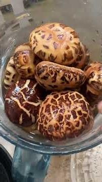 SHOP LIKE A PRO: Premium Shiitake Mushrooms at best prices