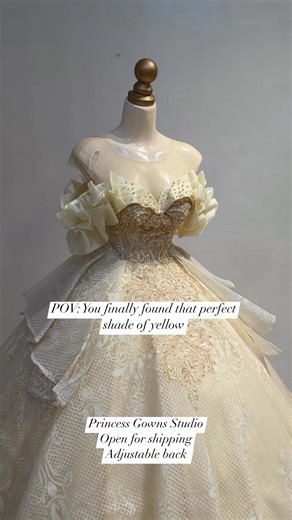 Classy and beautiful gown available for rent | Princess Gowns Studio