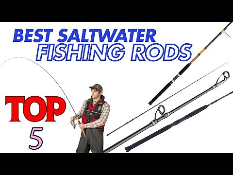Best Saltwater Fishing Rods for Every Angler – Top Picks Reviewed!