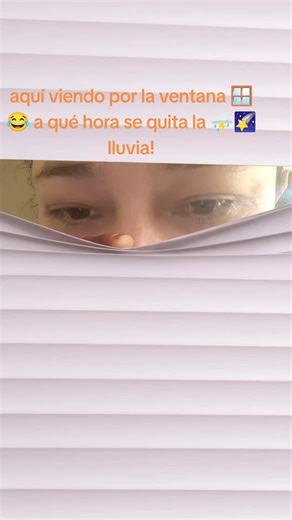 Emely Dolores!🌺💗💕🕊️✨ (@soeyanes)’s videos with Snowfall Sound Effect (Looped, No Fade) - Loopable Radiance