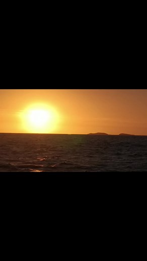 henua of string #pngmadeukulele #ukulele #pngtiktok🇵🇬