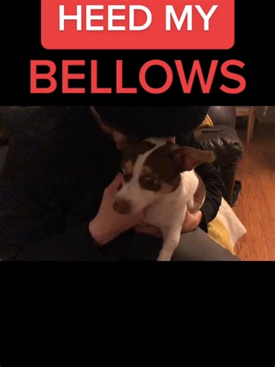 May all be privy to the sounds of the gates of Hades creaking! Follow my bellows to the promise land!!