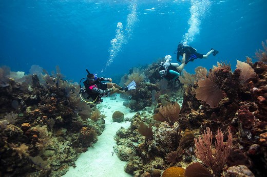 Discover Scuba Diving - No Certification Required! | Silent World Dive Center