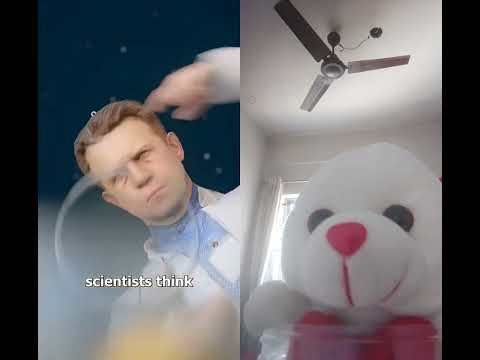 what will happen if a male Firefly get stuck in a spider web#insect #collab #nature #animals