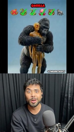 Animals vs Humans Hug 😱