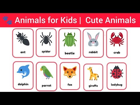 🐾 Animals for Kids | Fun Learning with Cute Animals