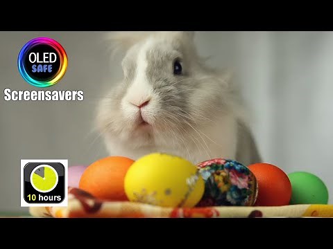 Easter Bunny Screensaver - Easter - 10 Hours - 4K - OLED Safe - No Burn-in