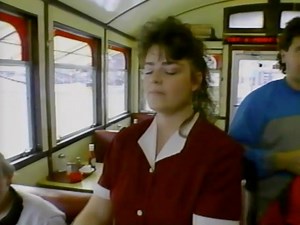 Pennsylvania Diners ~ The Wellsboro | American Fast Food Stories