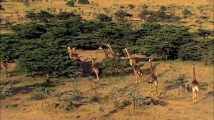 2.4K views · 95 reactions | The cast of Zoo describes the show in one word. The series premieres Tuesday, June 30th 9/8c. | CBS | Facebook