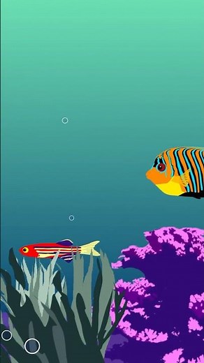 5 kleine Fische I 4.Strophe I Kinderlied zum Mitsingen Short | Quatschibo Kinderlieder