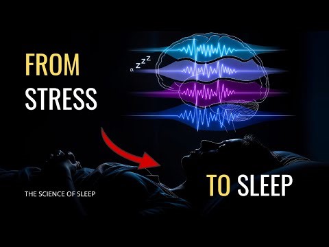 Fall Asleep Learning About Brain Waves: From Beta Anxiety to Delta Sleep