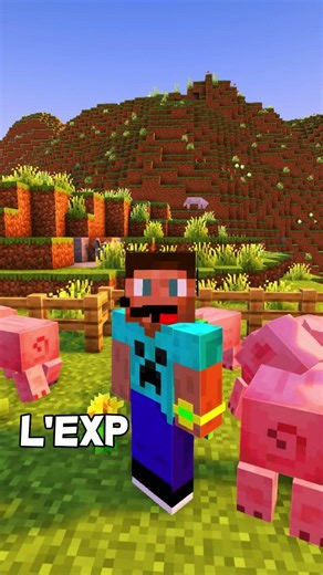 Merci a vous !!! - [Mini civilisation] #minecraft #roleplay