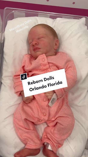 Macrobaby Dolls Maternity on TikTok