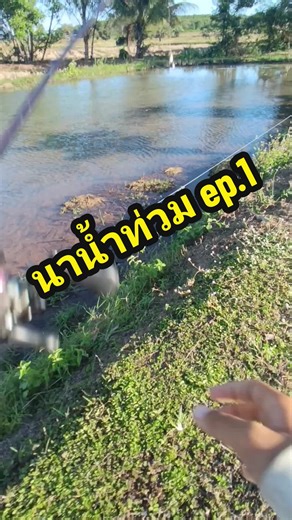 จับปลาน้ำท่วมในนาน้ำท่วม EP.1