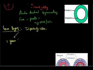Basis of Classification - Diversity Video Lecture - Class 11