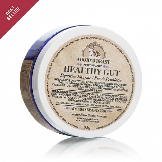 Healthy Gut | Digestive Enzyme / Pre & Probiotic