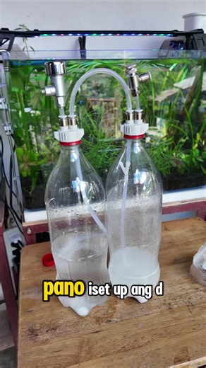 How to install DIY Co2 generator