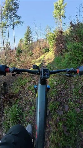 Spitzkehre verpasst 😅 | MTB Fail im Trail
