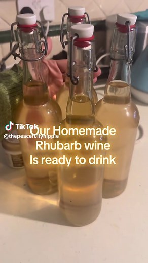 Home made rhubarb wine is ready! #rhubarb #wine #homestead #offgrid #imbolc
