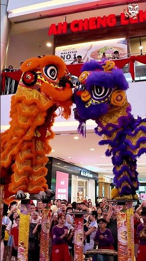 Acrobatic Lion Dance 爆燃 IOI Mall Puchong