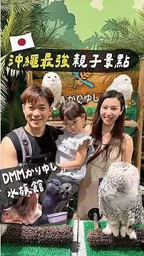 沖繩最強親子景點！就在機場附近超好玩！｜DMMかりゆし水族館 餵貓頭鷹、水獺、企鵝、巨骨魚 #沖繩自由行