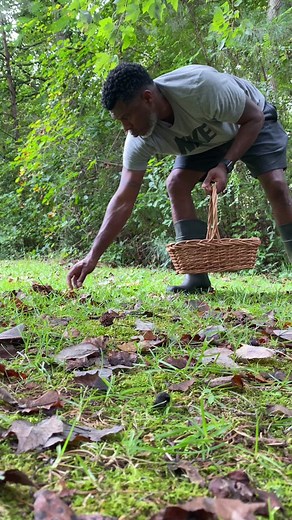 My first time making muscadine wine. ##muscadine##muscadinewine##wine##twinoakfarms##teammatthews@@Food Network##ericmatthews