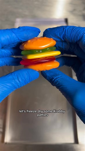 Let’s freeze dry the secret recipe krabby patties! #freezedried #experiment #smallbusiness #candy | Freeze Dried Sweets