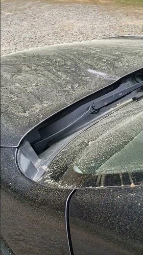 pollen count unlimited