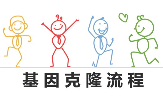 【基因克隆流程】基本操作流程等7个版块，各部分时间在简介~