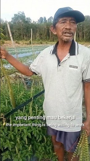 sedikit demi sedikit lama lama jadi bukit #paksri #paktanitv ,#motivation