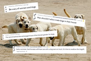 Dogpilling: the online theory that women are rejecting men to have sex with dogs