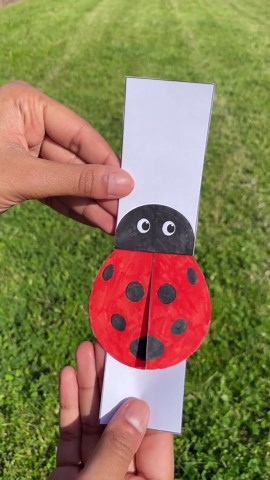 Early Years Resources | How to make a flying ladybird 🐞 Try this easy art and crafts activity for kids this summer! Head over to our website for free downloads... | Instagram