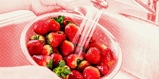 Yes, There Are Bugs in Strawberries—Here’s How to Get Rid of Them