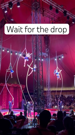 They are literally FLYING 😱✨