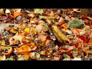 Save The Environment - How To Reduce & Reuse Food Waste