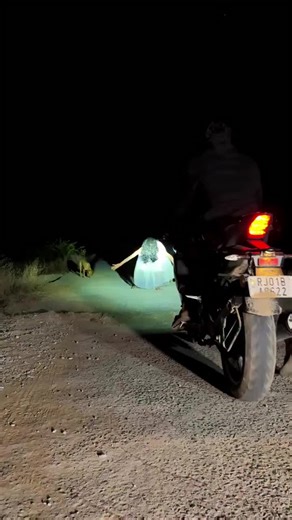 Horror Video Effects: Viewer Reactions Explored