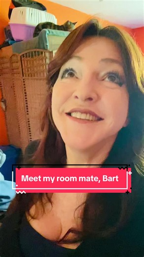 Huntsman spider housesitting: Meet my room mate Bart