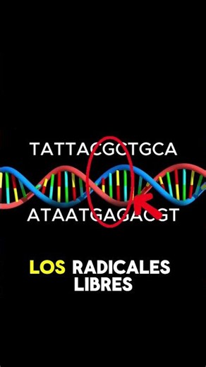 How Free Radicals Age Your Skin #dna #curiosities #science #didyouknow #viral