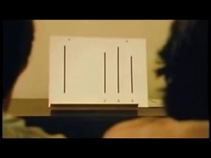 The line study - (Solomon Asch) - A-Level