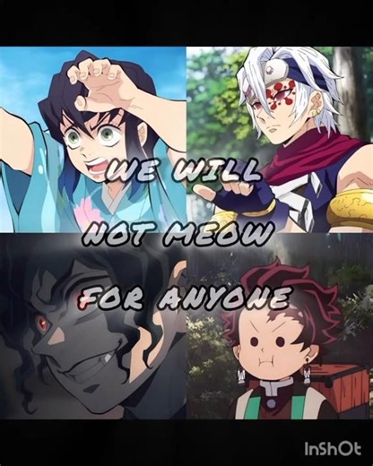 #chotaalivlogs demon slayer cats