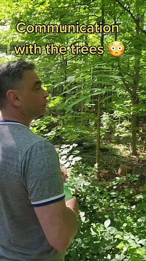 Communicating with Nature: Talking to Trees for a Touching Experience