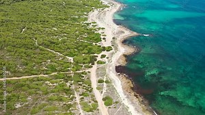 Aerial drone footage of the beach front on the Spanish island of Majorca Mallorca, Spain viewed from above on a bright sunny summers day showing the beach front along sand dunes at Platja de na Patana