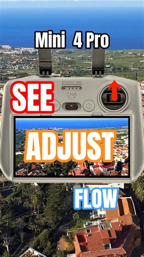 Smooth Flight to Freestyle | Mini 4 Pro