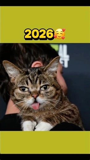 Famous Cat Memes Then vs Now 💔 #shorts #catmemes #nostalgia