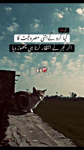 Understanding Gajar: A Deep Dive into Its Culture